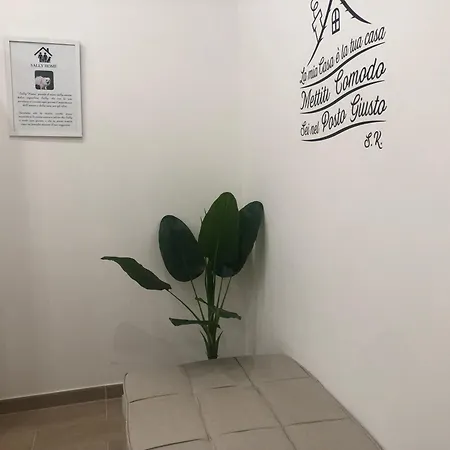 Sally Case de vacanță